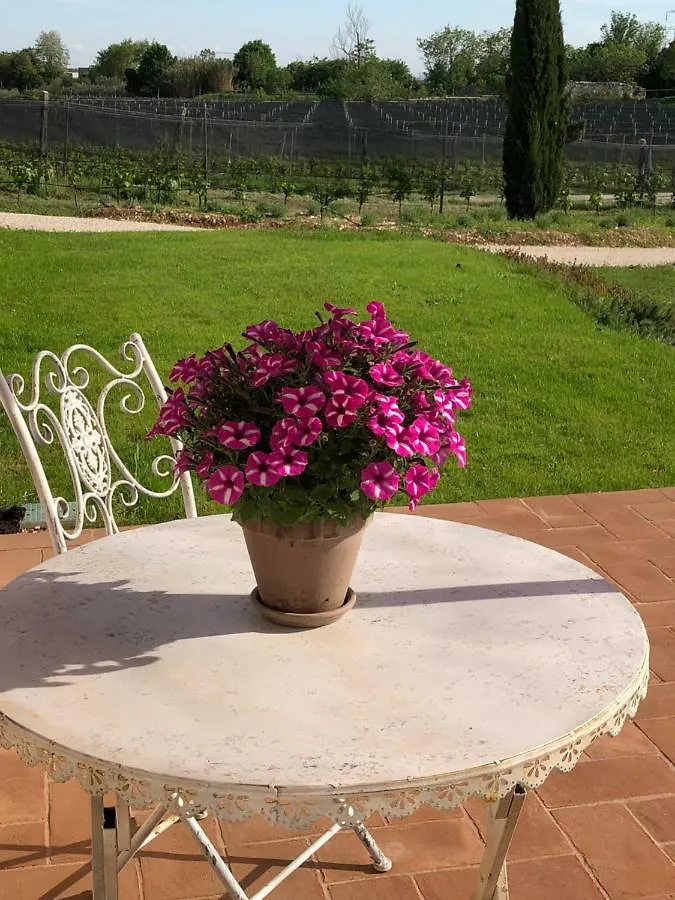 Maso Maroni Agriturismo Hotel Quinto di Valpantena